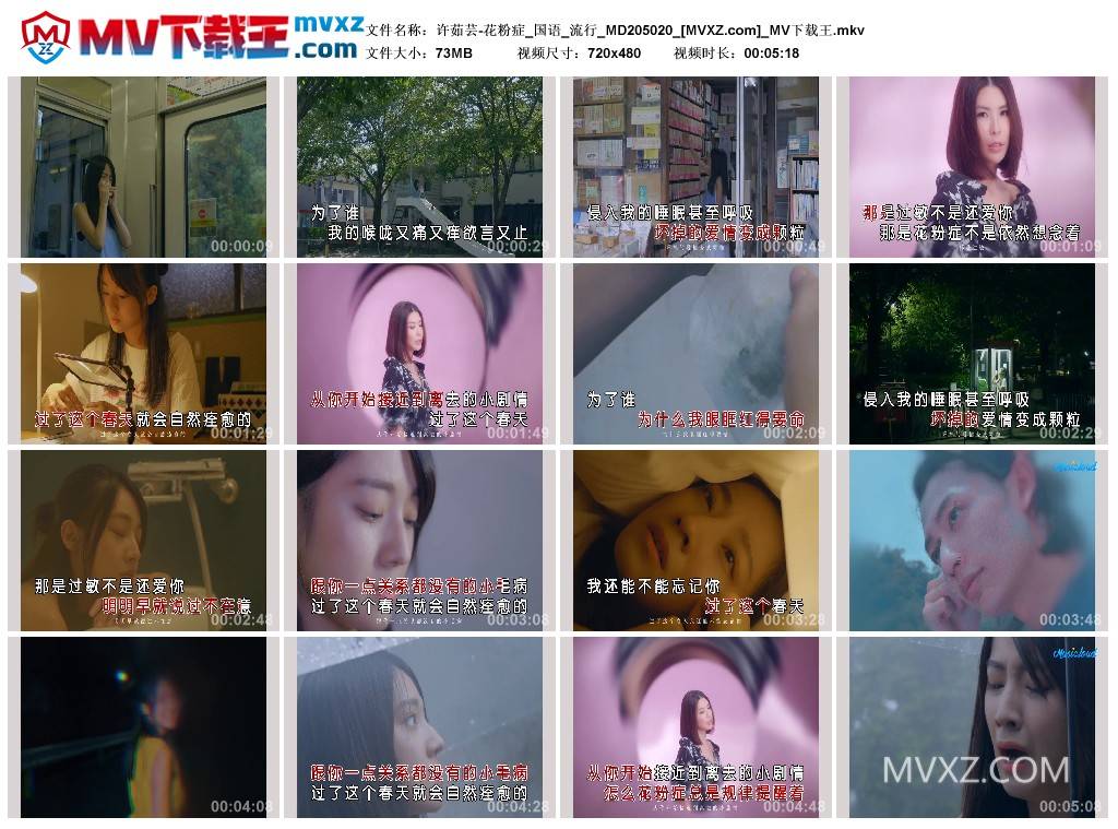 许茹芸-花粉症_国语_流行_MD205020